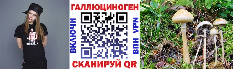 Псилоцибиновые грибы Cubensis Крым