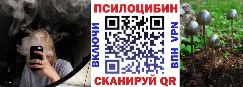 Галлюциногенные грибы MAGIC MUSHROOMS  Крым 